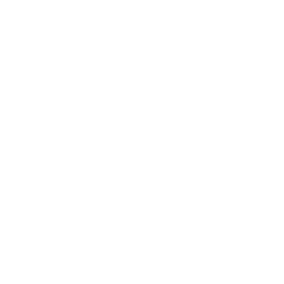 patinaLog
